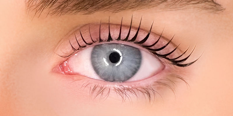 Lash Lift & Tint